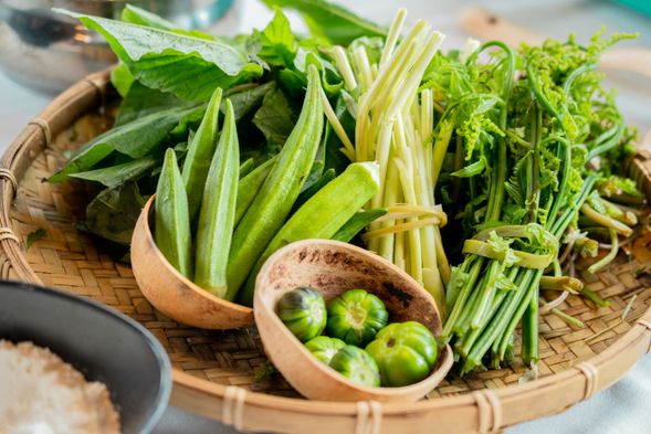 全花蓮最豐富多樣的野菜寶地,就在光復!跟著 Ina 認識時令野菜吧!