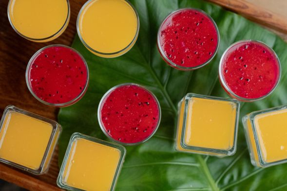 葛鬱金果凍製作