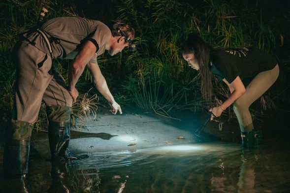 山豬的足跡、山羌的習性、山羊的喜好、靈動的飛鼠……山林裡的種種小秘密讓獵人告訴你!