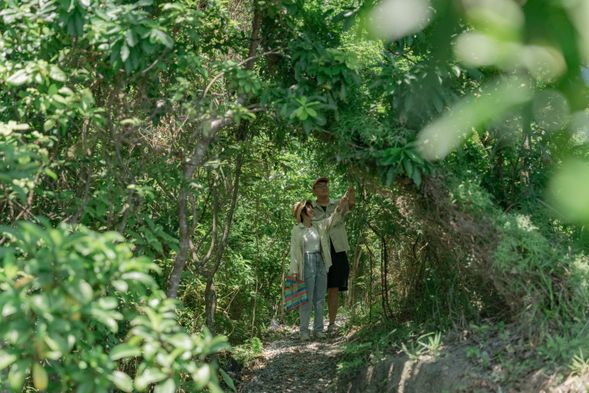 在「上山走走mudadan」的探索任務裡,帶你穿梭高山森林基地裡的各種角落,各種美景保證讓你驚歎不斷喔!