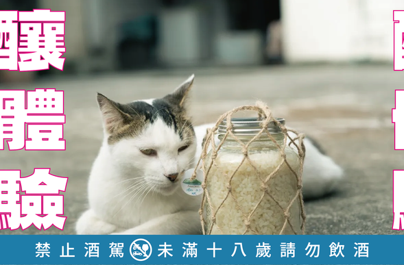 最後還可以把自己做的糯米釀帶回家狂喝一波~