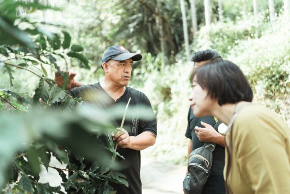 上山Chill版 _ 走過山林小徑,沿途聽聽部落族人跟你分享各種植物小知識,絕對是收穫滿滿啊!