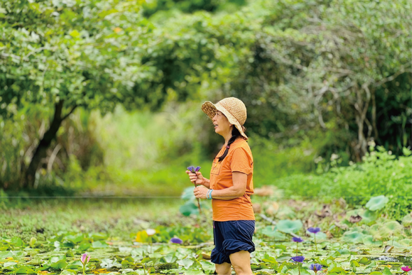 【土地導師】美瑛老師——花格格蓮莊創辦人
她是這片蓮花莊園的守護者,用數十年的歲月在長濱南溪與土地對話。透過她的導覽與手作,您將看見一位母親對自然的溫柔與韌性。