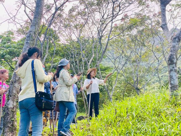 森林裡的小冒險,聽聽美瑛姊跟你分享山中的各種趣事吧!