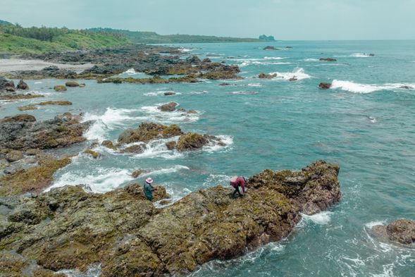 海邊集合(詳見須知說明)
