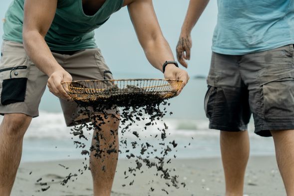 路線1-日間版_緊張刺激見分曉!把多餘的沙子篩掉,究竟會是一筐石頭還是浪花蟹大豐收,我們來見分曉!