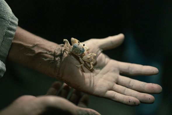 路線2-夜間版_沙灘裡的夜間派對等你來參一腳,跟著各種海邊的小動物在夜晚的沙灘上共舞,體驗淳樸的樂趣吧!