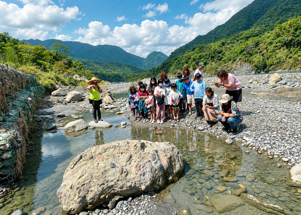 🚩導覽解說 | 洄游生物觀察、常見洄游生物介紹、觀察物種與上傳紀錄