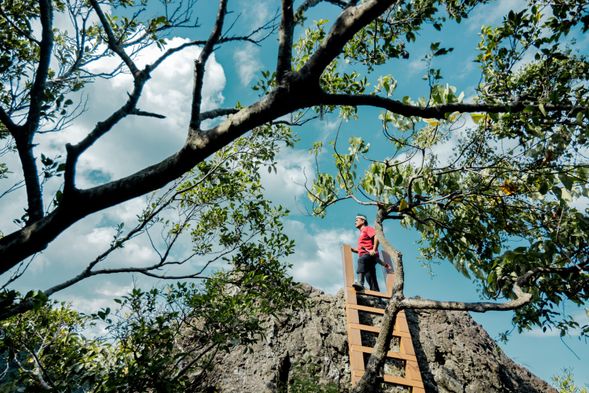 在「上山走走mudadan」的探索任務裡,帶你穿梭高山森林基地裡的各種角落,各種美景保證讓你驚歎不斷喔!
