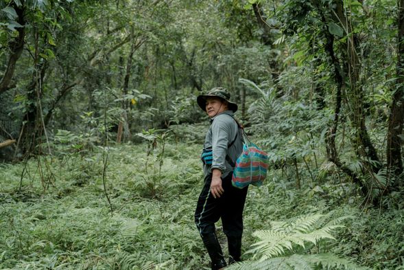 當阿美族走進山裡,眼之所及都是寶物,究竟那些植物有什麼妙用,快來親自體驗吧!
