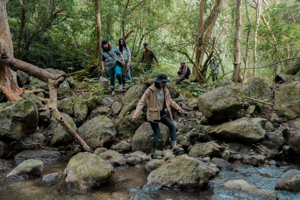 小小地溯溪,小小的登山,帶你走進新手友善的森林野溪,淺嘗融入大自然的快樂!