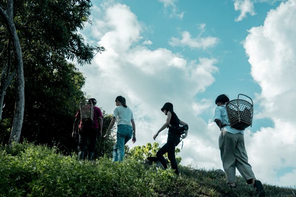 布農族見面時問候的一句mihumisang就是在問候你有沒有好好活著好好呼吸,趁著這次的新體驗「上山走走mudadan」,來高山森林基地好好感受一下吧!