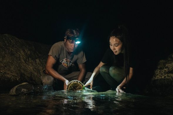 溪流裡的寶藏有哪些?每次收魚筌都是驚喜包唷!