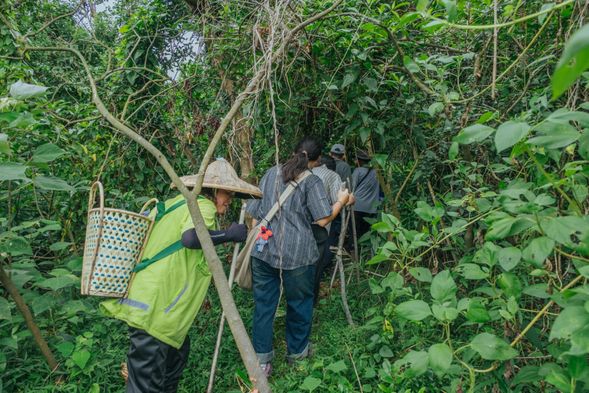 登島之路不易,你準備好接受挑戰了嗎?
