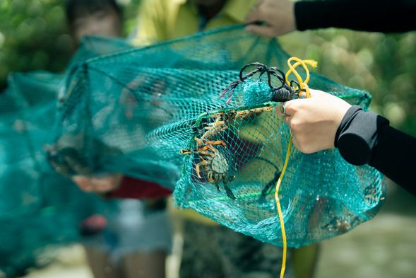 蛇龍抓的不是蛇?!在靜浦,地籠網會被叫做蛇龍,想吃到新鮮抓來的各種河鮮,是必不可少的工具唷!
