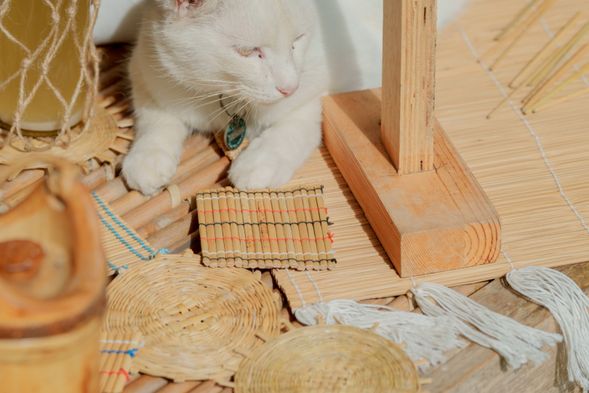 不得不說,在這個科技發達的年代,手作的生活物品就是顯得那麼有溫度。來為自己做上一個簡單的輪傘草杯墊,給自己的生活來點儀式感吧!