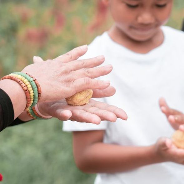 領取足量的小米及酒麴,柔壓至平均。