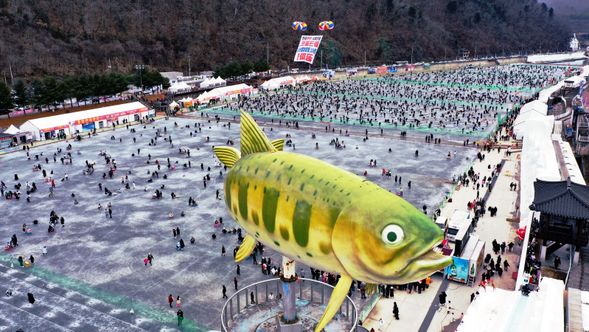 Arrive at Hwacheon Sancheoneo lce Festival venue  
 (Have fun catching Sancheoneo (mountaintrout) Try various exciting activities such as snow sled & ice sled)