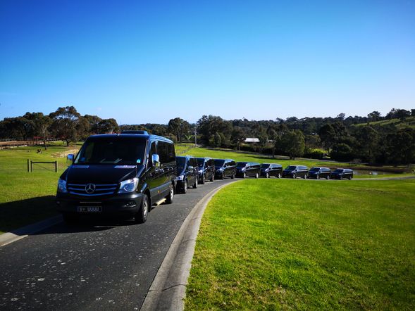 返回墨尔本唐人街结束精彩一天行程