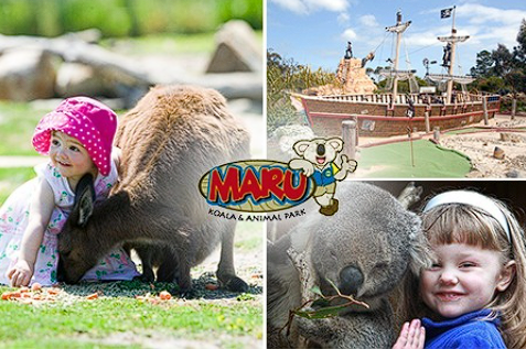 MARU动物园与澳洲特色动物亲密接触(袋鼠,考拉,羊驼,鸸鹋,塔斯马尼亚小恶魔等)
