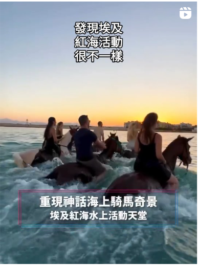 胡爾加達
紅海日遊-可選:
1. 全日出海
2. 沙漠尋奇
3. 沙灘騎馬/騎 駱駝體驗