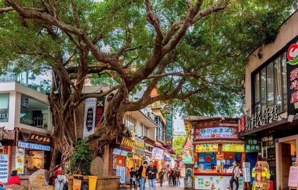 集美學村
以嘉庚式建築與濃厚學術氛圍聞名,融合中西風格,是廈門極具代表性的文化景點