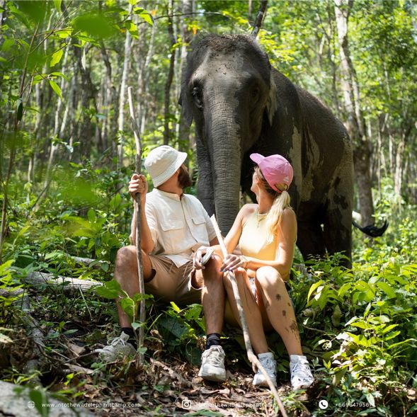 - Say goodbye to your new found friends and return to your accommodation in Chiang Mai at around 1:30pm.