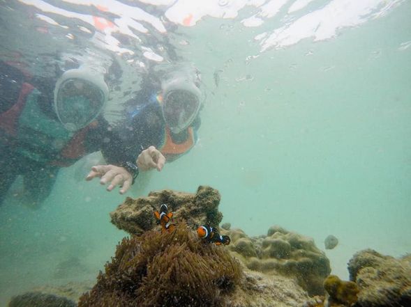 Time at leisure, enjoy snorkling or swimming