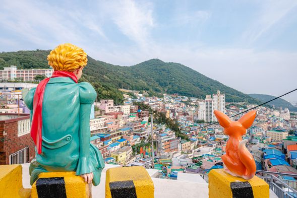 BUSAN MATE