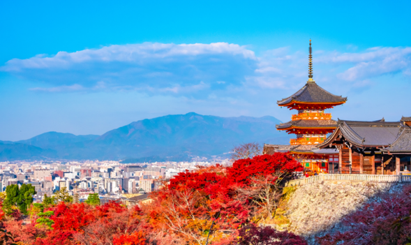 10:00▼清水寺区域(约2.5小时,含自行午餐时间,可自由活动)推荐游玩行程
推荐一:清水寺(门票费用敬请自理)-二、三年坂-石塀小路-祗园·花见小路-八坂神社
各位贵宾可根据自身喜好和体力情况等选择部分景点游玩哦~
推荐二:和服体验,有兴趣的客人可以换上和服,漫步古街,清水寺参拜,留下最美的一刻
(清水寺和服店选还,费用敬请自理)