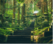 日本熊本县一座充满神秘氛围和文化底蕴的神社,整体风格古朴,具有典型的日本神社建筑特色。其参道由 260 多阶陡急的石阶梯组成,两侧排列着近百座石灯笼,这些石灯笼是当地居民与信徒在不同年代陆续奉纳的。鸟居、石阶梯、石灯笼等都覆满了青苔,营造出一种神秘而庄严的氛围。