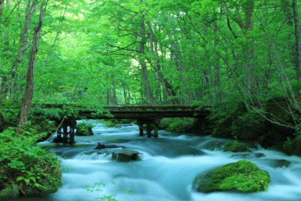 The Oirase Stream is a clear stream that flows out of Lake Towada, with a total length of 14 kilometers. The stream is gurgling with waterfalls and is known as the "singing stream". Walking on the tree lined path, accompanied by bird songs and water sounds, is like stepping into a moving forest painting, very healing.