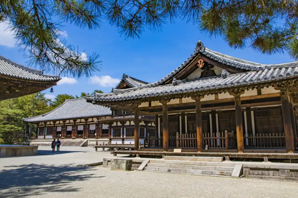 Tang Zhaoti Temple: (Admission fee to be paid by oneself) Tang Zhaoti Temple, formerly known as Jianchu Law Temple and Zhaoti Temple, is located in Gojo cho, Nara City, Nara Prefecture, Japan. It was first built in the second year of Tang Qianyuan (759 AD) and was originally the former residence of Prince Nitta of Japan. It was built by the Chinese Tang Dynasty monk Jianzhen and is a Buddhist Vinaya temple in China, as well as the main mountain of the Southern Capital Vinaya sect in Japan