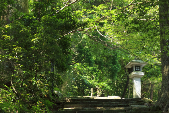 he Kumano Kodo is located in Mie Prefecture, Nara Prefecture, and Wakayama Prefecture in Japan, and is the general term for the pilgrimage routes leading to the Kumano Three Mountains. Human reverence for the natural world has led to the belief that the giant rocks, rivers, and waterfalls surrounding shrines and temples must be the dwelling places of deities. Therefore, the worship of Kumano Sanshan has been ongoing since the 10th century, with visitors from all over coming in a continuous stream, described as "ants worshiping Kumano". The original preserved section of the Daimon Pass, a stone paved ancient road with moss, runs along the hundred year old cedar trees. The moss covered stone island not only has historical charm, but also is one of the well preserved ancient paths in the Kumano Trail. The "Couple's Cedar" standing on both sides of the ancient road is a huge cedar tree with an age of up to 800 years, and the trunk is surrounded by 8 meters. After passing through the Couple's Cedar, there is a moss covered stone path.