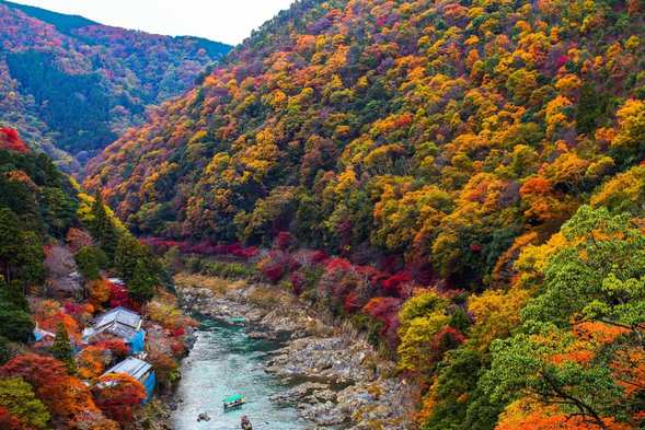 Arashiyama Park is located in the area extending from the Hozen-gawa Valley to the Tateiwa Plain, and consists of three areas: Kameyama, Nakajima, and Rinshuji Temple. It is a famous spot for cherry blossoms in spring and for admiring maple leaves in autumn.