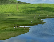 草千里之滨是日本熊本县阿苏市的一处知名景点,它是一片壮阔的火山草原。是一片直径约 1 公里的浅四角形草原,由 3 万年前形成的双层火山口遗迹构成。