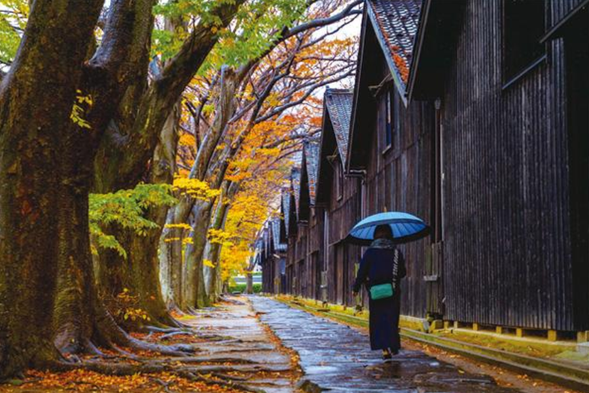 The Sakata Yamaju Warehouse is a historical rice warehouse complex located in Yamagata Sakata City. Built during the Edo period, it features a mix of red bricks and wooden structures and was once one of the largest rice warehouses in Japan. Nowadays, not only can you feel the strong historical atmosphere, but you can also enjoy the exhibitions, cafes, and handicraft shops after the warehouse renovation, making it a great place for both history and leisure.