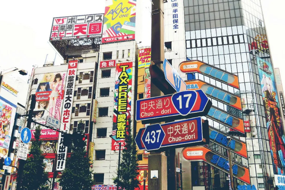 【秋葉原】被誉为“御宅族圣地”,是东京着名的电器街与动漫文化中心。各式电子产品、动漫商品、模型玩具、主题咖啡厅林立,吸引世界各地的动漫与游戏爱好者前来朝圣,充满独特次文化气息。