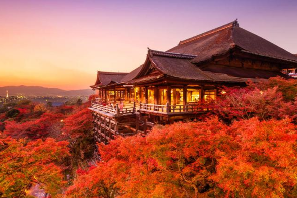 Kiyomizu Temple is one of the most famous Buddhist temples in Kyoto, known for its magnificent wooden stage that overlooks the surrounding natural beauty. The temple enshrines Guanyin Bodhisattva, attracting numerous believers and tourists. In spring and autumn, cherry blossoms and red leaves add charming colors to temples, making it an ideal place to experience the beauty of Japanese culture and nature.