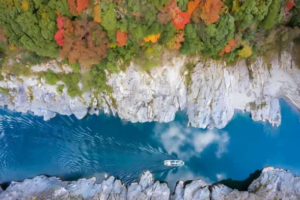 Located on the Yoshino River in Shikoku, the Grand Bay Cruise is an excellent way to experience the magnificent scenery of the Grand Bay Canyon. Slowly moving along the winding river, there are numerous peaks and rocks on both sides, some as steep as knives and axes, while others twist and spiral like natural sculptures. The river surges and roars among the rocks, sometimes gentle like a mirror, sometimes stirring up white waves, reflecting the reflection of the blue sky and green trees, like a dynamic ink painting.
Riding down the boat, the hull gently sways, and the splashes of water create a refreshing breeze. The gentle breeze carries the fragrance of the river valley and brushes over my face. Occasionally, bird songs can be heard from both sides of the Taiwan Strait, adding a touch of liveliness. The entire journey seems to be a spiritual dialogue with nature, where every turn reveals new scenery, allowing people to feel the vastness of the valley, the magnificence of the mountains and waters, and the unique tranquility and power of nature.