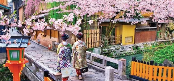 【祗园花见小路】花见小路是不可错过的一站。这里是京都最著名的花街之一,毗邻祗园四条大街,保留了大量江户时期(1603年-1867年)的古建筑,尽管经历了数百年的风雨洗礼,丝毫没有破败之感,时光在这里仿佛停滞。