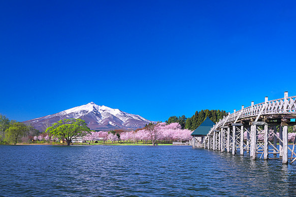 【富士草原栈桥】宛如一条通往梦想的天路 ,蜿蜒穿梭于无尽的草原之上 , 四周绿意盎然, 春风拂面,尽显自然的恬静与美丽。站在栈桥上,远眺巍峨的富士山,云雾缭绕,宛如人间 仙境 ,令人心旷神怡 ,是体验大自然魅力与放松心灵的绝佳去处。