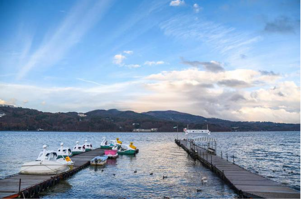 湖边码头处栖息着众多锦鲤,色彩斑斓,悠然游弋。游客可以购买鱼食喂食,感受与自然的亲密接触。