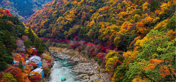 Arashiyama Park is located in the area where the Hozen River valley transitions into the plains, and consists of three areas: Kameyama, Nakajima, and Rinsen-ji Temple. It is a famous spot for cherry blossoms in spring and for admiring maple leaves in autumn.