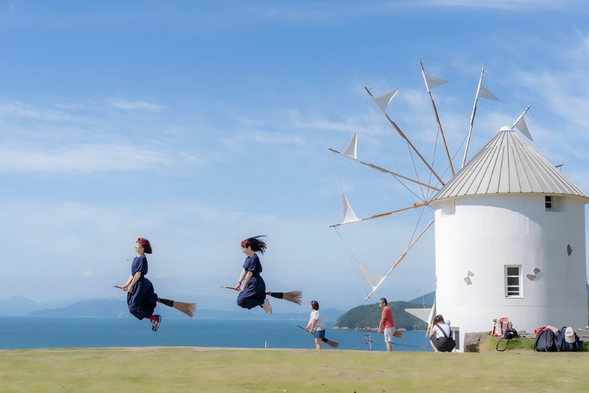 Olive Park is located on Little Bean Island and is the most representative attraction on the island that combines nature and life. Strolling among the neat olive groves, a gentle breeze brushes over the treetops, and the sunlight shines on the silver green leaves, shimmering with a warm luster.
In the park, you can also experience olive oil production, handmade experience, and taste olive related cuisine, as if every leaf is whispering the tenderness and tranquility of Little Bean Island. This is not only a natural paradise, but also a light experience about the aesthetics of life, making people feel peaceful and happy.