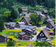 白川乡合掌村(荻町聚落) 位于日本岐阜县大野郡白川村,1995 年与五箇山合掌造聚落一同列入世界文化遗产。合掌造是飞驒地区独有的木造民居,以无钉榫卯结构、50-60° 陡峭茅草屋顶为标志,形如双手合十,能让冬季 2-3 米的厚雪快速滑落;现存合掌造多建于江户中后期,荻町核心区有 30 余栋,全村共 110 + 栋,和田家为国家重要文化财,可入内参观传统生活场景。4-5 月,山间新芽与粉樱环绕木屋,田埂步道清新宜人,适合慢走拍照;合掌造民家园有传统养蚕、手工体验。