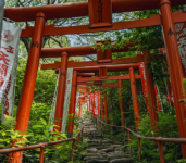位于日本福冈县太宰府市,是一座具有特色的神社。静谧地座落于太宰府市东北方的宝满山麓。 宝满山标高829公尺,自古以来神道教视其为神之山,人们亦在此祭拜神佛,同时也是春天赏樱、秋赏红叶的绝佳景点。 竈門神社的社殿有两处,一是位于山顶的上宫,一是位于山麓的下宫,皆被认为是其中最神圣的场所。