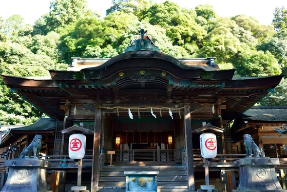 Located in Kagawa Prefecture, the Golden Knife Biro Palace is an ancient shrine dedicated to the sea guardian deity. Ascending the stairs along the path, surrounded by green pine trees on both sides, the stone steps extend towards the sky, each step resembling a river of history and time.
Walking into the shrine, it feels like having a low voice conversation with nature, faith, and time. The vermilion color of the temple shines brightly in the sunlight, with incense lingering and carrying a faint scent of pine and wood. This is not only a spiritual place for pilgrims, but also an excellent destination for travelers to experience tranquility and solemn aesthetics, allowing people to pause for a moment and feel the fusion of history, nature, and spirit.