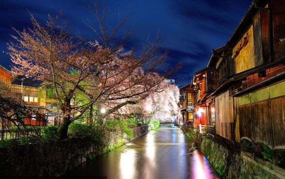 Recommended night-time attractions: (self-guided)
Kyoto Shimizu Ancient Street: It is one of the most representative historical districts in Kyoto, blending Tang and Song architectural styles with a modern commercial atmosphere.