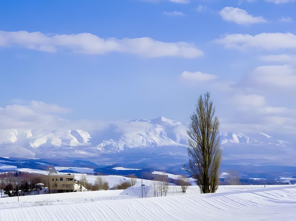 【四季彩之丘】作为日剧和广告的热门取景地 ,其标志性的花田景观与远方时胜岳山脉背景共同构成北海道的代表性画面。冬季雪山与红叶交织的景象吸引摄影爱好者,成为社交媒体上的热门打卡地标。